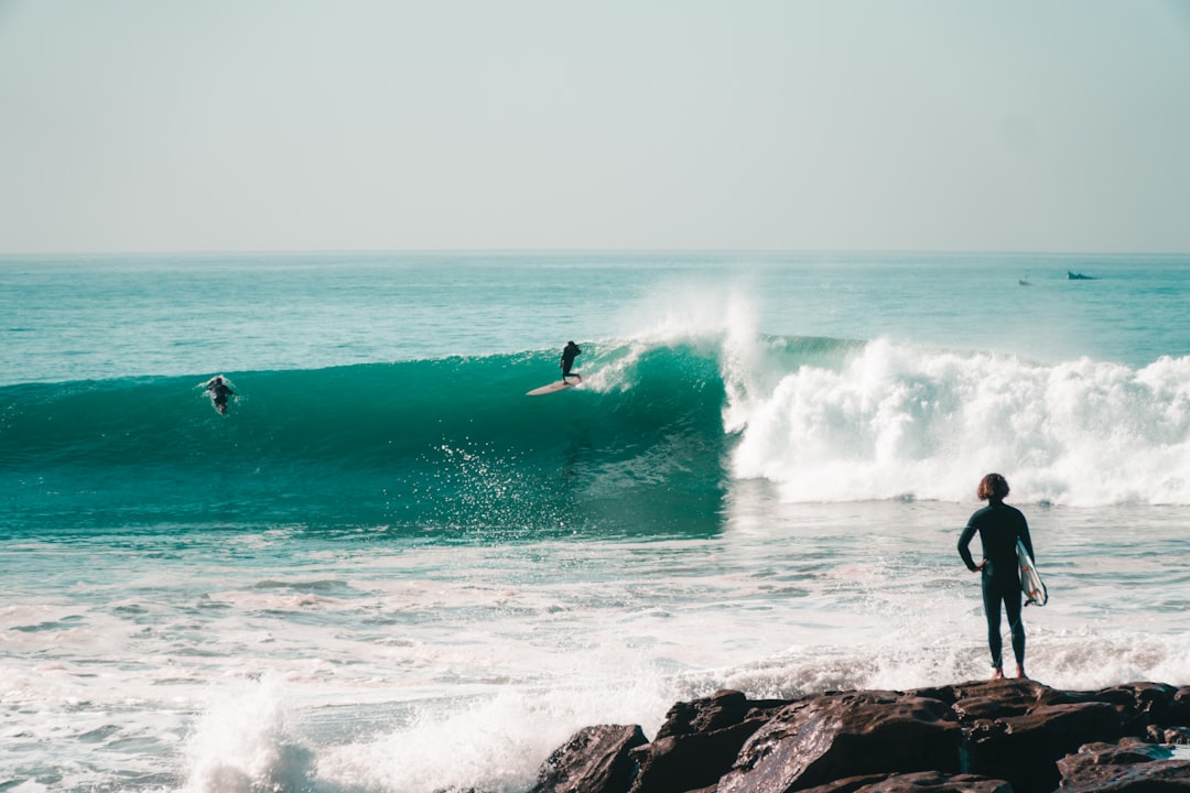 Corona Cero NZ Pro